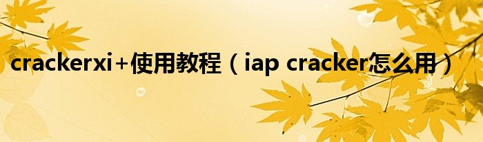  crackerxi+使用教程（iap cracker怎么用）