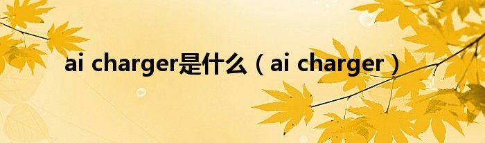  ai charger是什么（ai charger）