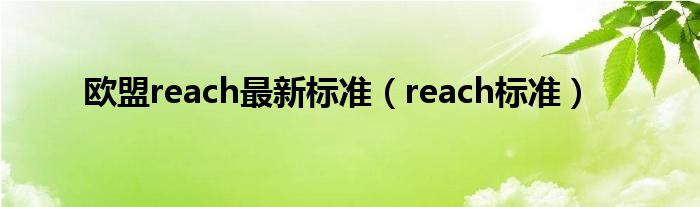  欧盟reach最新标准（reach标准）