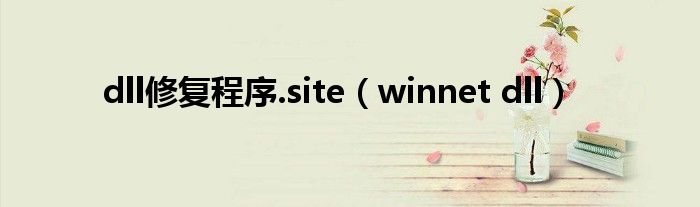  dll修复程序.site（winnet dll）