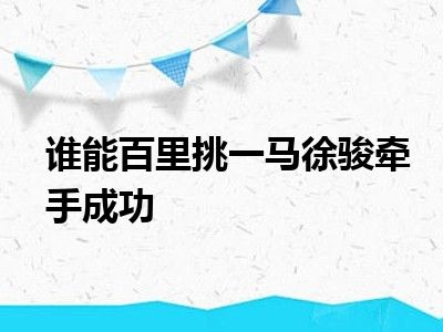 谁能百里挑一马徐骏牵手成功