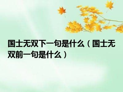 国士无双下一句是什么（国士无双前一句是什么）