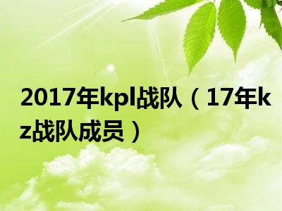 2017年kpl战队（17年kz战队成员）