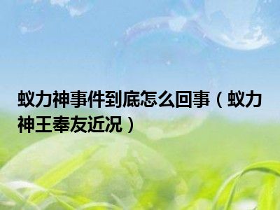 蚁力神事件到底怎么回事（蚁力神王奉友近况）