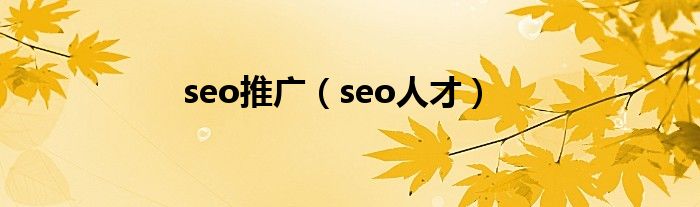  seo推广（seo人才）