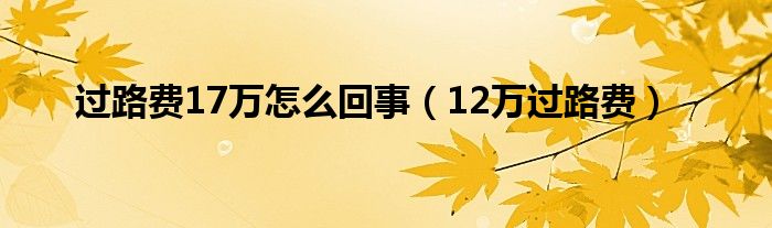  过路费17万怎么回事（12万过路费）