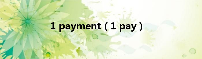  1 payment（1 pay）