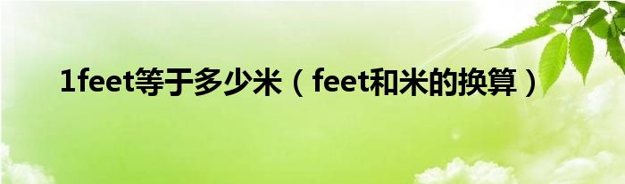  1feet等于多少米（feet和米的换算）