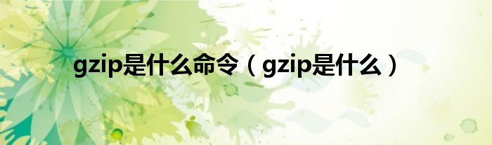  gzip是什么命令（gzip是什么）