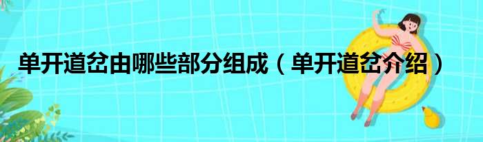 单开道岔由哪些部分组成（单开道岔介绍）