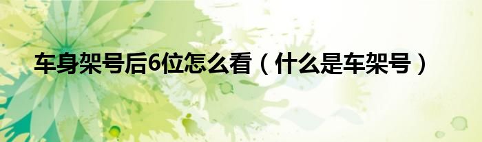 车身架号后6位怎么看（什么是车架号）