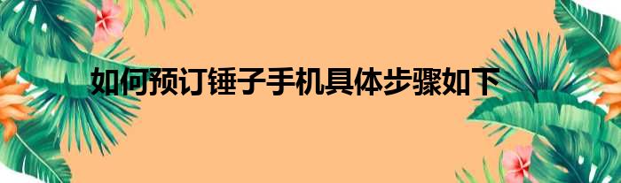 如何预订锤子手机具体步骤如下