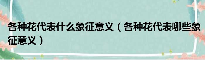 各种花代表什么象征意义（各种花代表哪些象征意义）