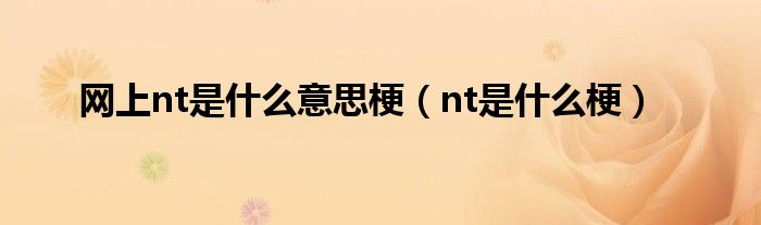 网上nt是什么意思梗（nt是什么梗）