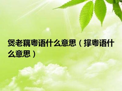 煲老藕粤语什么意思（撑粤语什么意思）