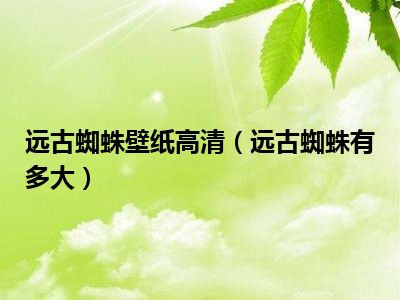 远古蜘蛛壁纸高清（远古蜘蛛有多大）