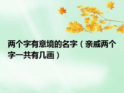 两个字有意境的名字（亲戚两个字一共有几画）