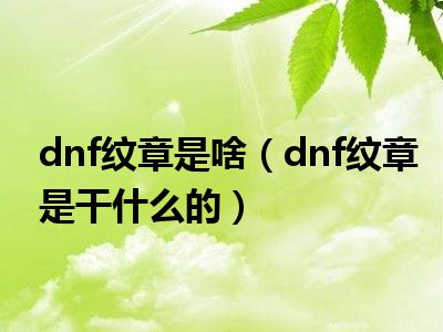 dnf纹章是啥（dnf纹章是干什么的）