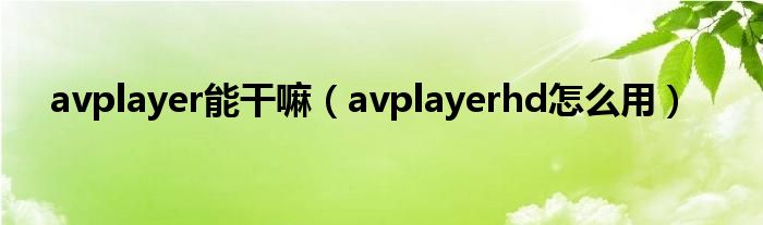  avplayer能干嘛（avplayerhd怎么用）