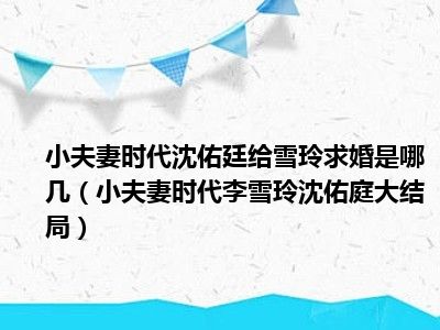 小夫妻时代沈佑廷给雪玲求婚是哪几（小夫妻时代李雪玲沈佑庭大结局）