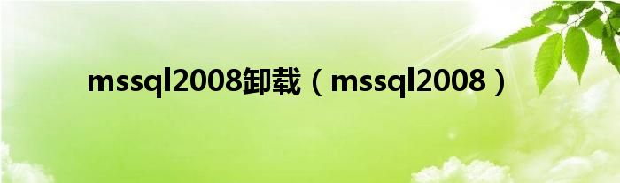  mssql2008卸载（mssql2008）