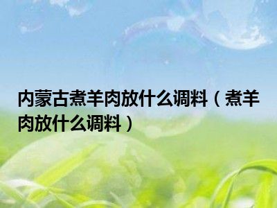 内蒙古煮羊肉放什么调料（煮羊肉放什么调料）