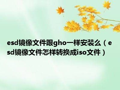 esd镜像文件跟gho一样安装么（esd镜像文件怎样转换成iso文件）