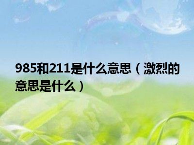 985和211是什么意思（激烈的意思是什么）