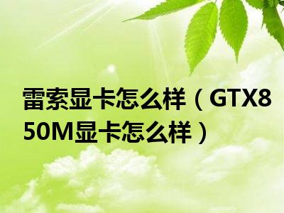 雷索显卡怎么样（GTX850M显卡怎么样）