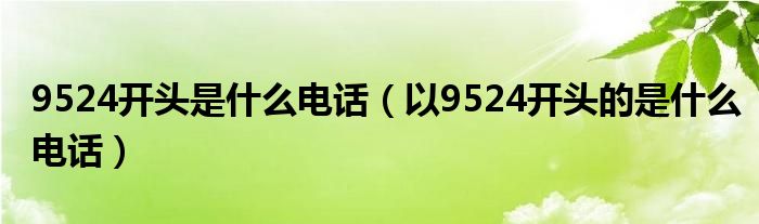 9524开头是什么电话（以9524开头的是什么电话）