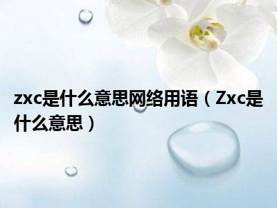 zxc是什么意思网络用语（Zxc是什么意思）