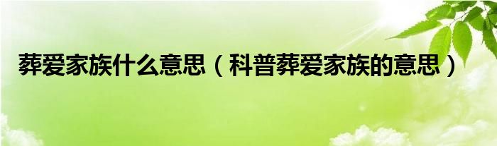 葬爱家族什么意思（科普葬爱家族的意思）