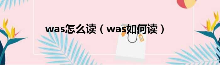 was怎么读（was如何读）