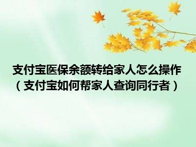 支付宝医保余额转给家人怎么操作（支付宝如何帮家人查询同行者）