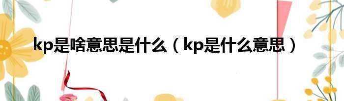 kp是啥意思是什么（kp是什么意思）