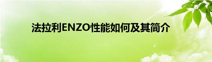 法拉利ENZO性能如何及其简介