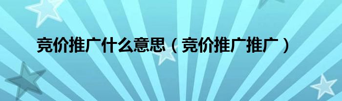  竞价推广什么意思（竞价推广推广）