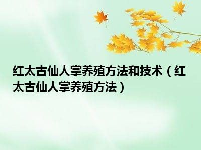 红太古仙人掌养殖方法和技术（红太古仙人掌养殖方法）