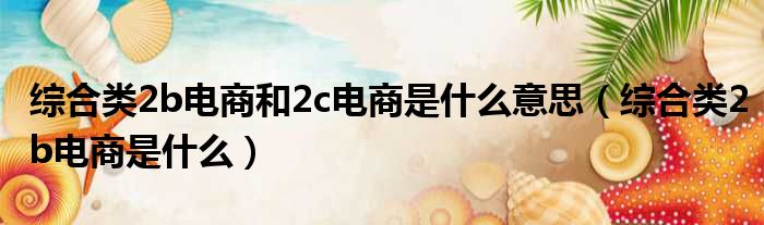 综合类2b电商和2c电商是什么意思（综合类2b电商是什么）