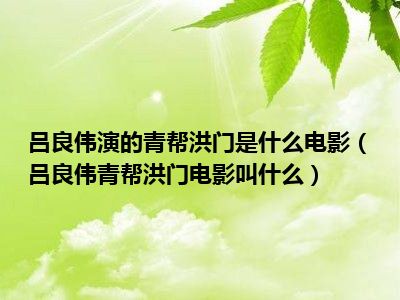 吕良伟演的青帮洪门是什么电影（吕良伟青帮洪门电影叫什么）