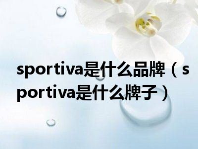 sportiva是什么品牌（sportiva是什么牌子）