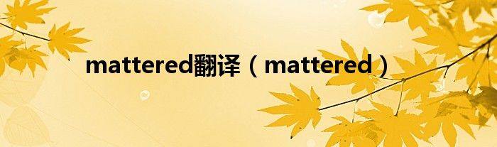  mattered翻译（mattered）