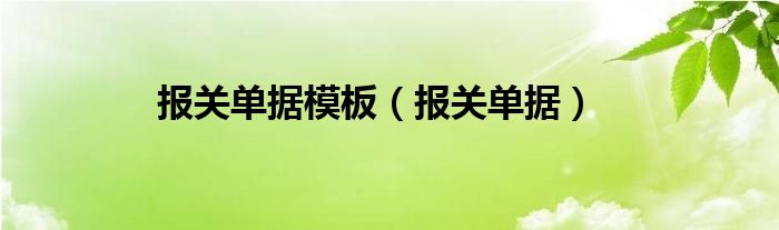  报关单据模板（报关单据）