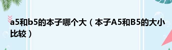 a5和b5的本子哪个大（本子A5和B5的大小比较）