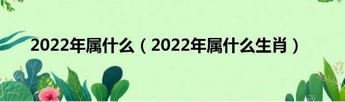 2022年属什么（2022年属什么生肖）