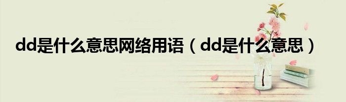  dd是什么意思网络用语（dd是什么意思）