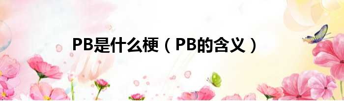 PB是什么梗（PB的含义）