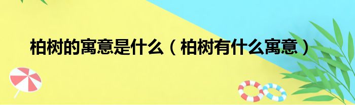 柏树的寓意是什么（柏树有什么寓意）