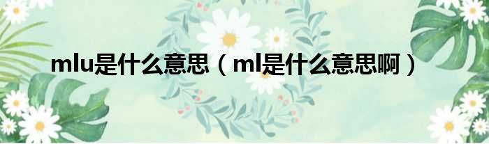 mlu是什么意思（ml是什么意思啊）