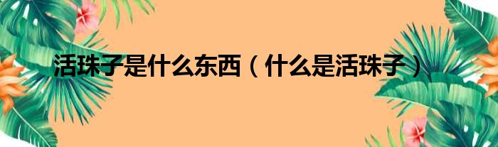 活珠子是什么东西（什么是活珠子）